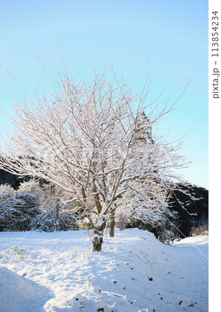 雪が積もる静かな田舎道の風景 雪が積もる静かな田舎道の風景 113854234