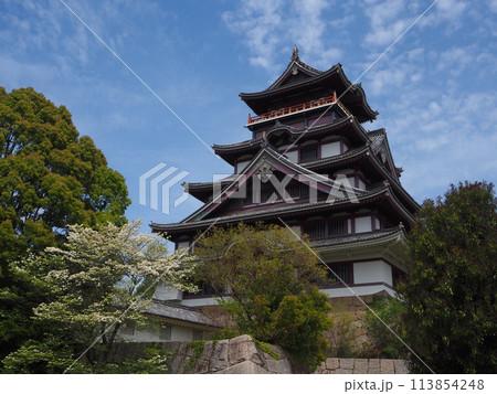 京都府 伏見城 京都府 伏見城 113854248