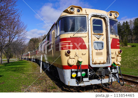 クロフォード公園のキハ82系気動車 クロフォード公園のキハ82系気動車 113854465