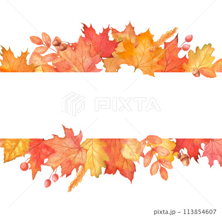 Fall frame with autumn maple leaves. Orange foliage hand drawn illustration Fall frame with autumn maple leaves. Orange foliage hand drawn illustration 113854607