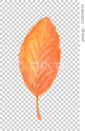 Watercolor fall tree leaf isolated. Hand drawn illustration Watercolor fall tree leaf isolated. Hand drawn illustration 113854614
