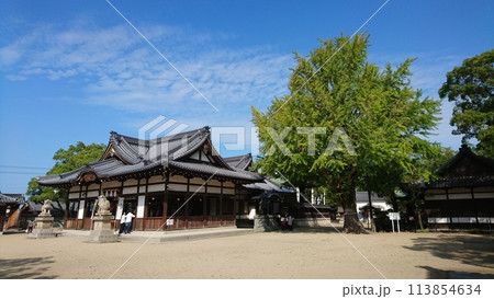 晴天の松原八幡神社 晴天の松原八幡神社 113854634
