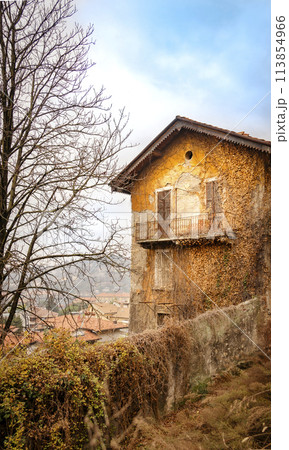 Part of an old abandoned house with peeling paint, overgrown with dry leaves, stands above the roofs of city buildings. Vertical photo Part of an old abandoned house with peeling paint, overgrown with dry leaves, stands above the roofs of city buildings. Vertical photo 113854966