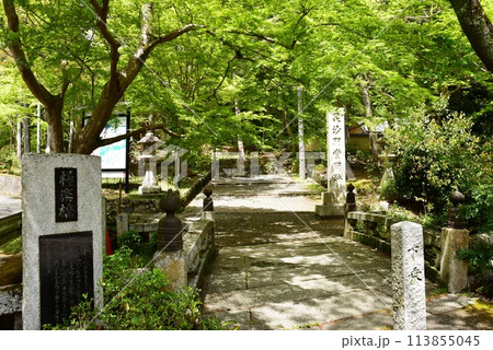 京都市　山科毘沙門堂の極楽橋と新緑 113855045