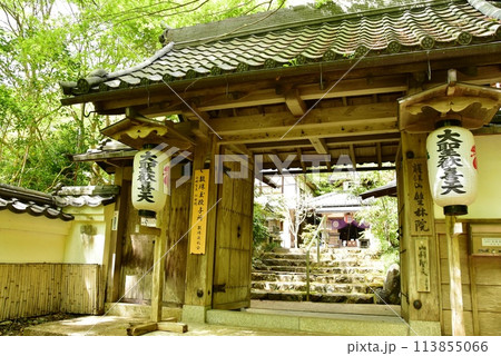 京都市 山科聖天(双林院)の山門と新緑 京都市 山科聖天(双林院)の山門と新緑 113855066