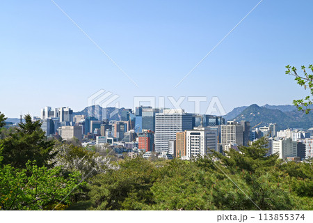 南山散策路から見た明洞の風景【韓国ソウル】 113855374