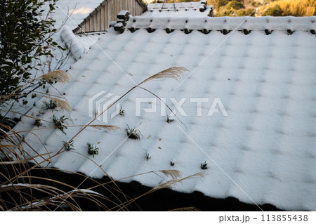民家の屋根に積もる雪 民家の屋根に積もる雪 113855438