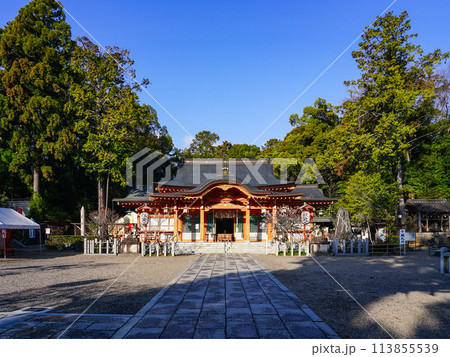 梅の季節に長岡天満宮(京都府長岡京市) 梅の季節に長岡天満宮(京都府長岡京市) 113855539
