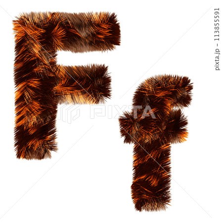 Animal fur decorative alphabet Animal fur decorative alphabet 113855591