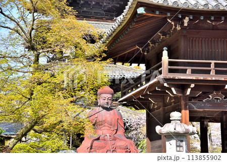 《愛知県》春の興正寺五重塔と釈迦牟尼大仏 《愛知県》春の興正寺五重塔と釈迦牟尼大仏 113855902