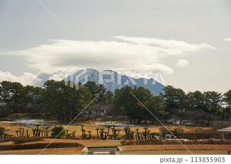 雪が残る吉野公園の自然風景 113855903