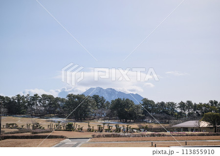 冬の吉野公園の風景 113855910