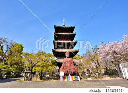 《愛知県》春の興正寺五重塔と釈迦牟尼大仏 113855914