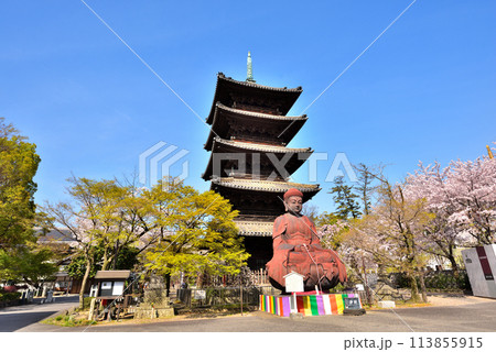 《愛知県》春の興正寺五重塔と釈迦牟尼大仏 《愛知県》春の興正寺五重塔と釈迦牟尼大仏 113855915