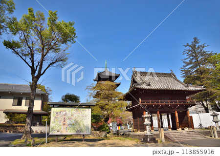 《愛知県》春の興正寺五重塔と中門 《愛知県》春の興正寺五重塔と中門 113855916