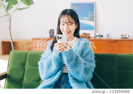 ソファでスマホを使う女性 113856066