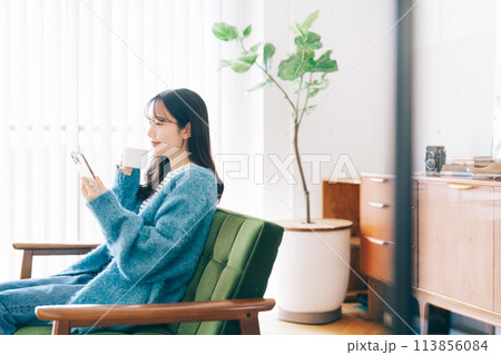 ソファでスマホを使う女性 ソファでスマホを使う女性 113856084