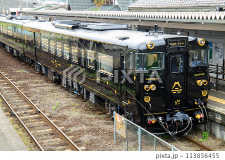 JR九州 観光列車「かんぱち・いちろく」(3号車) JR九州 観光列車「かんぱち・いちろく」(3号車) 113856455