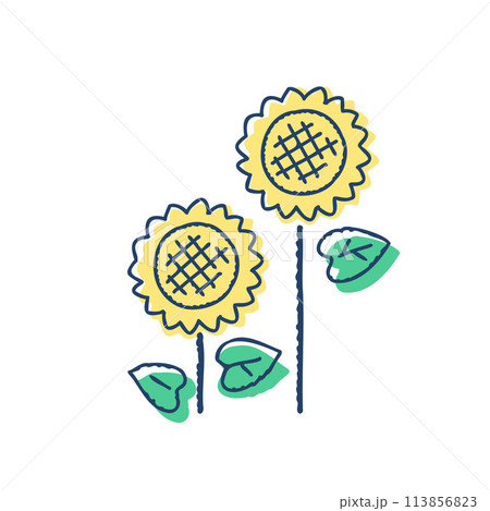 二輪のヒマワリの花 113856823