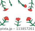 母の日カーネーションのイラストフレーム 113857261