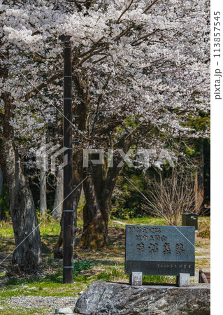 世界遺産 菅沼合掌造り集落の春景色 世界遺産 菅沼合掌造り集落の春景色 113857545