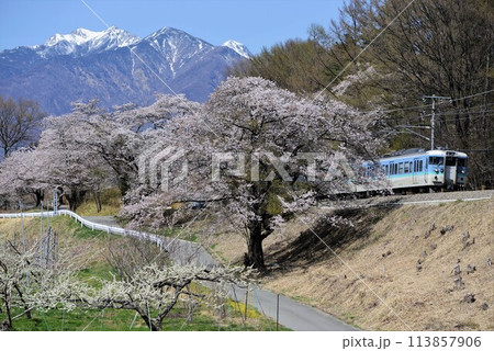115系普通列車　中央本線・長坂～日野春 113857906