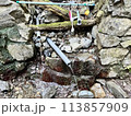 小仏城山の登山道にあった水場 113857909