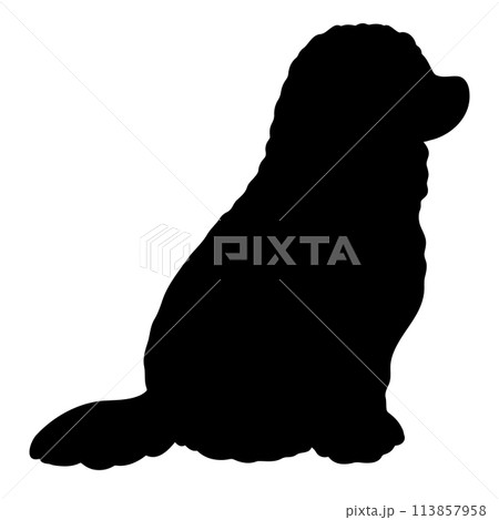 横を向いてお座りするシンプルで可愛いコモンドールのシルエット 113857958