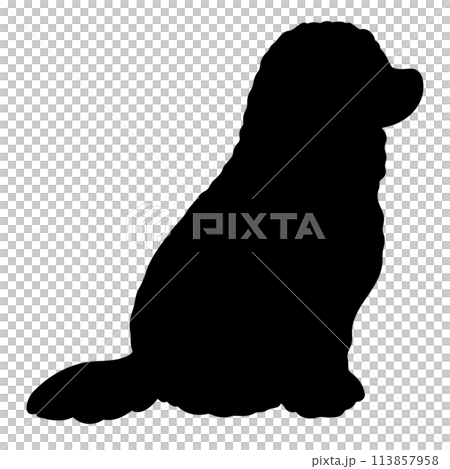 可蒙多犬側身坐著的簡單可愛的剪影。 113857958