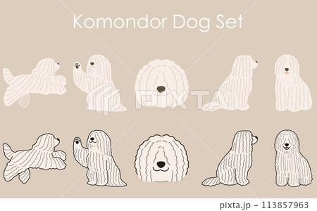 シンプルで可愛いコモンドールのイラストセット シンプルで可愛いコモンドールのイラストセット 113857963