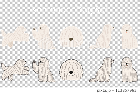 簡單可愛的Komondor插畫集 113857963