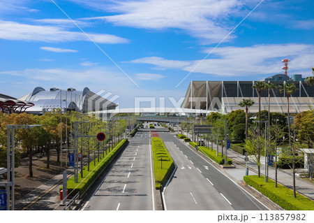 初夏の幕張メッセの大通り 初夏の幕張メッセの大通り 113857982