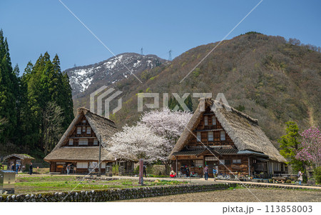 世界遺産 菅沼合掌造り集落の春景色 世界遺産 菅沼合掌造り集落の春景色 113858003