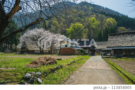 世界遺産 菅沼合掌造り集落の春景色 113858005