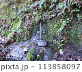 登山道にある水場 113858097