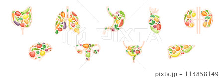 Healthy Human Internal Organs with Fruit and Vegetables Vector Set 113858149