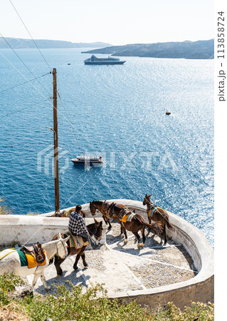 サントリーニ島のロバ 113858724