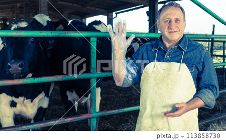 Veterinarian wears long glove to inspect cows 113858730