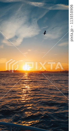 sunset at sea sunset at sea 113858906