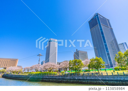 日本の横浜都市景観　みなとみらい・汽車道の満開になった桜やタワーマンションなどを望む 113858984