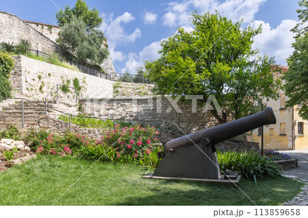 An ancient cannon in Brescia Castle stands amid lush greenery and blooming flowers 113859658