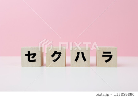 セクハラ　ブロック文字 113859890