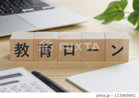 教育ローンと書かれた積み木のブロック 113860062