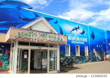 家族で楽しむ越前松島水族館 113860205