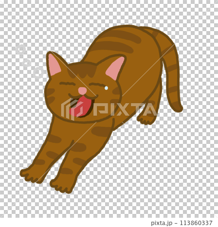 Cats yawning Cats yawning 113860337