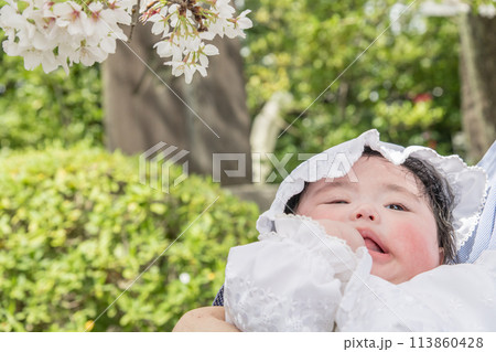 【お宮参りの赤ちゃんと桜】 【お宮参りの赤ちゃんと桜】 113860428