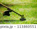 closeup of trimmer head cutting grass. professional lawn care background 113860551