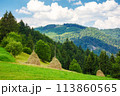 rural landscape of transcarpathia, ukraine in summer. haystacks on the grassy hill. mountainous carpathian landscape on a sunny day with clouds on the sky 113860565