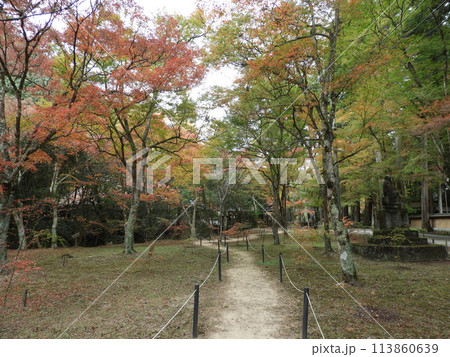 紅葉のある仏閣の風景 佛通寺 11月 紅葉のある仏閣の風景 佛通寺 11月 113860639