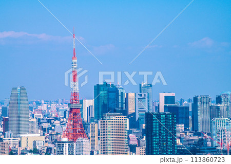 日本の東京都市景観 汐留のオフィスビル群や東京タワーなどを望む 113860723